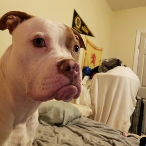 Meet your Posher, Ian